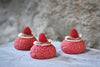 MINI CHOUX AU CRAQUELIN (KŘUPAVÝ VĚTRNÍČEK) - MALINOVÉ CREMEUX
